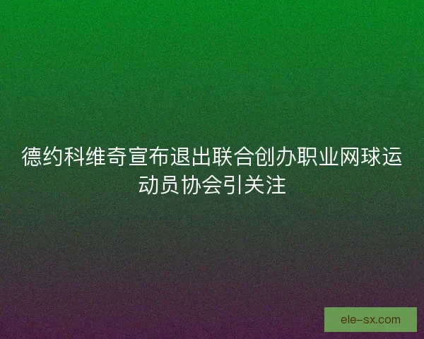 德约科维奇宣布退出联合创办职业网球运动员协会引关注