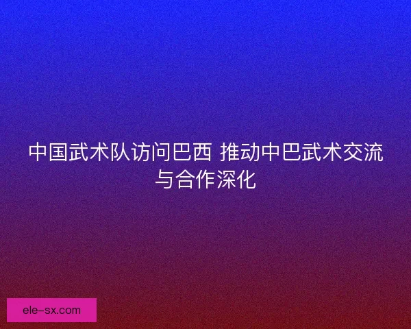 中国武术队访问巴西 推动中巴武术交流与合作深化