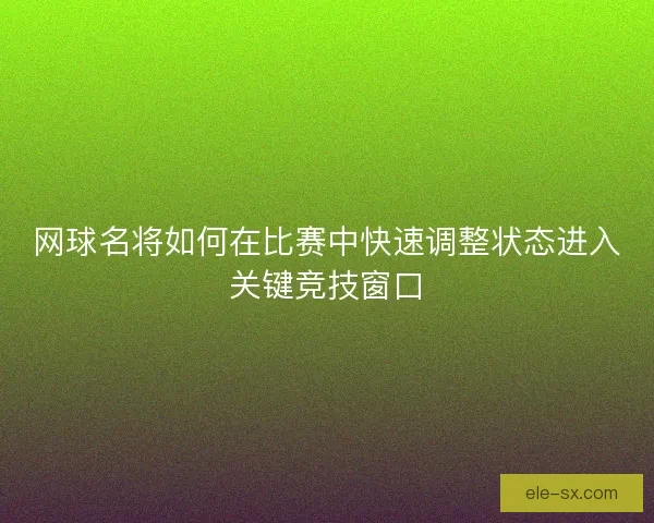 网球名将如何在比赛中快速调整状态进入关键竞技窗口