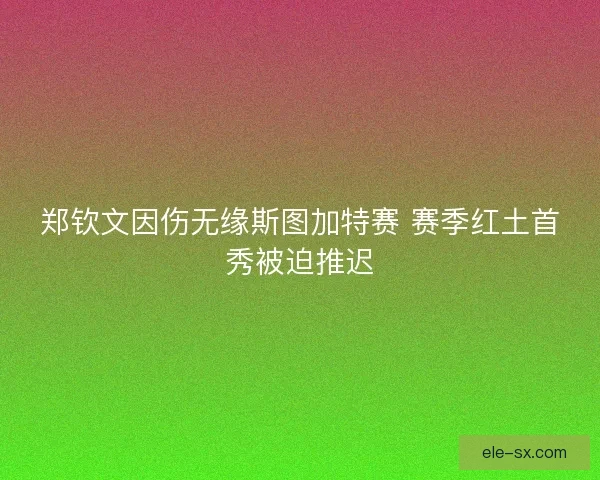 郑钦文因伤无缘斯图加特赛 赛季红土首秀被迫推迟
